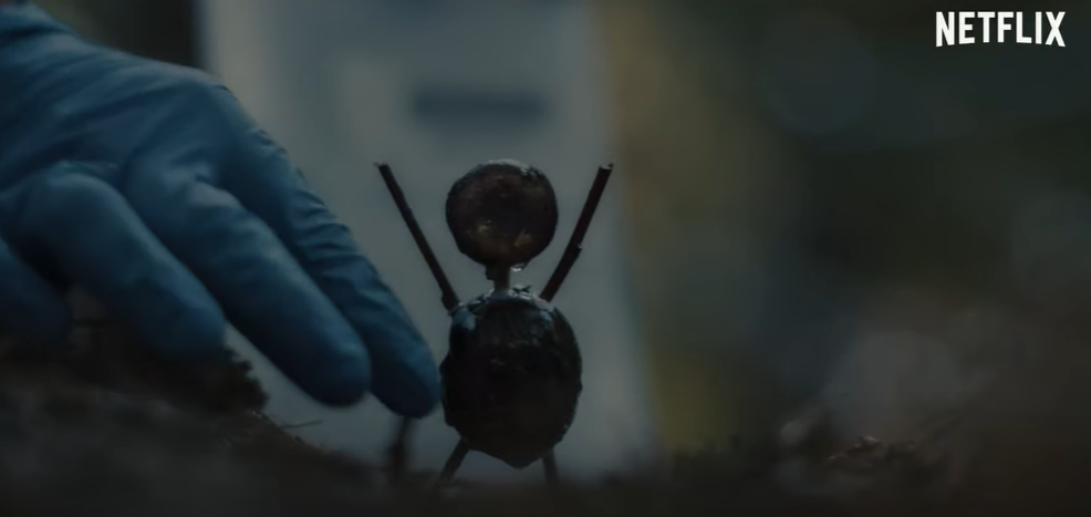     Kasztanowy ludzik - zwiastun serialu Netflixa. Thriller o seryjnym mordercy na podstawie popularnej książki